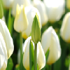 910487526@qq.com