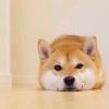 算