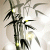 dgtgqtdh8996056