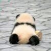 我是谁我在哪儿