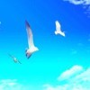 雨韵