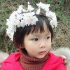 六月的雪儿花