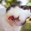 eeeeeeeee