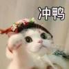 星月夜