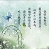 天天逍遥