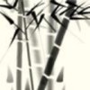 山竹
