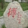 秦风