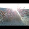 顺风顺水