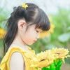じ金家的鱼ю