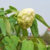 1470692280@qq.com