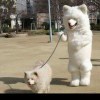 偶 夹~~~~一夹斗