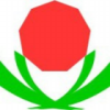 崔人奋进