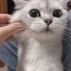 M先生