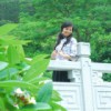 水中映月