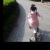 fudehong