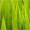 下雨了吗？