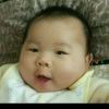 羽韧翼傲