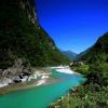 不辞青山