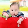 孤鸿掠影