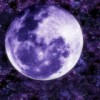 Violet月