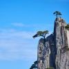 似水流连