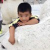 环保