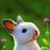 繲悟伱の吢語