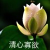 烟花半醒