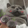 ‘毒药