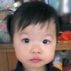 万车书特联