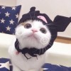 易水聆风