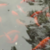 花仙子