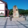 野生葫芦娃
