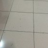 贰拾额