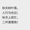 、7远方