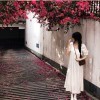 默认关系.
