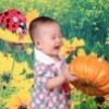 杨昆