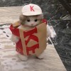 土豆豆豆
