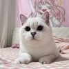 、、、、、、