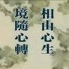 白清树