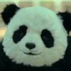 邪恶の炒年糕