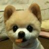 娴情逸綕