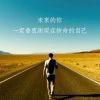 网枫林