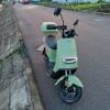 绵羊仔