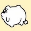 (`ゥ´ )
