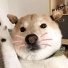 若吕子