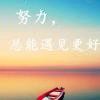 鹏鹰