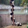 听我说