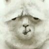 郝赫