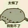 默默的潜水党